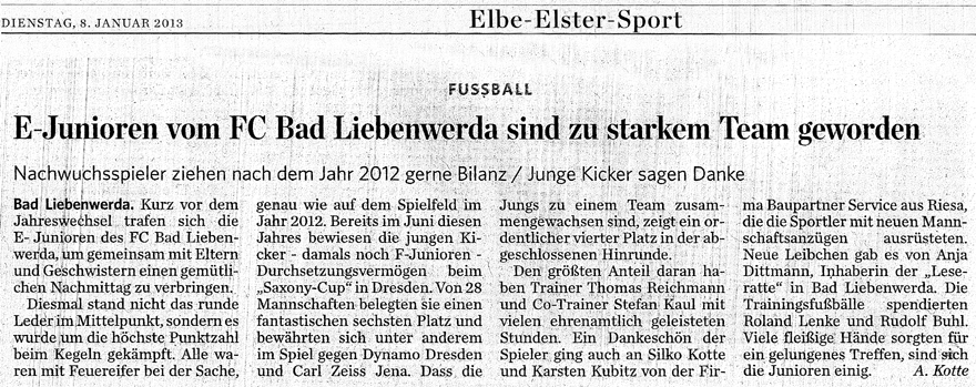 E-Jugend FC Bad Liebenwerda Turnier